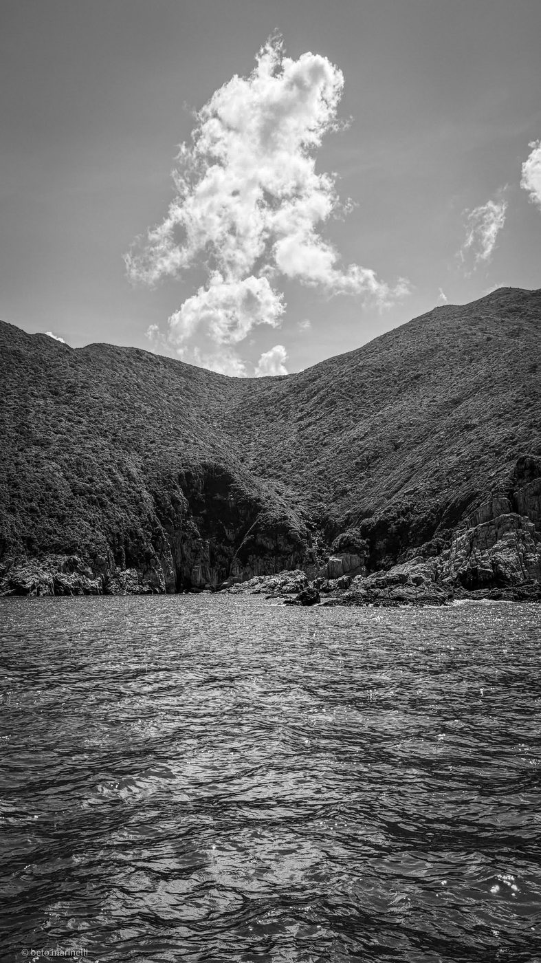 The Cleft