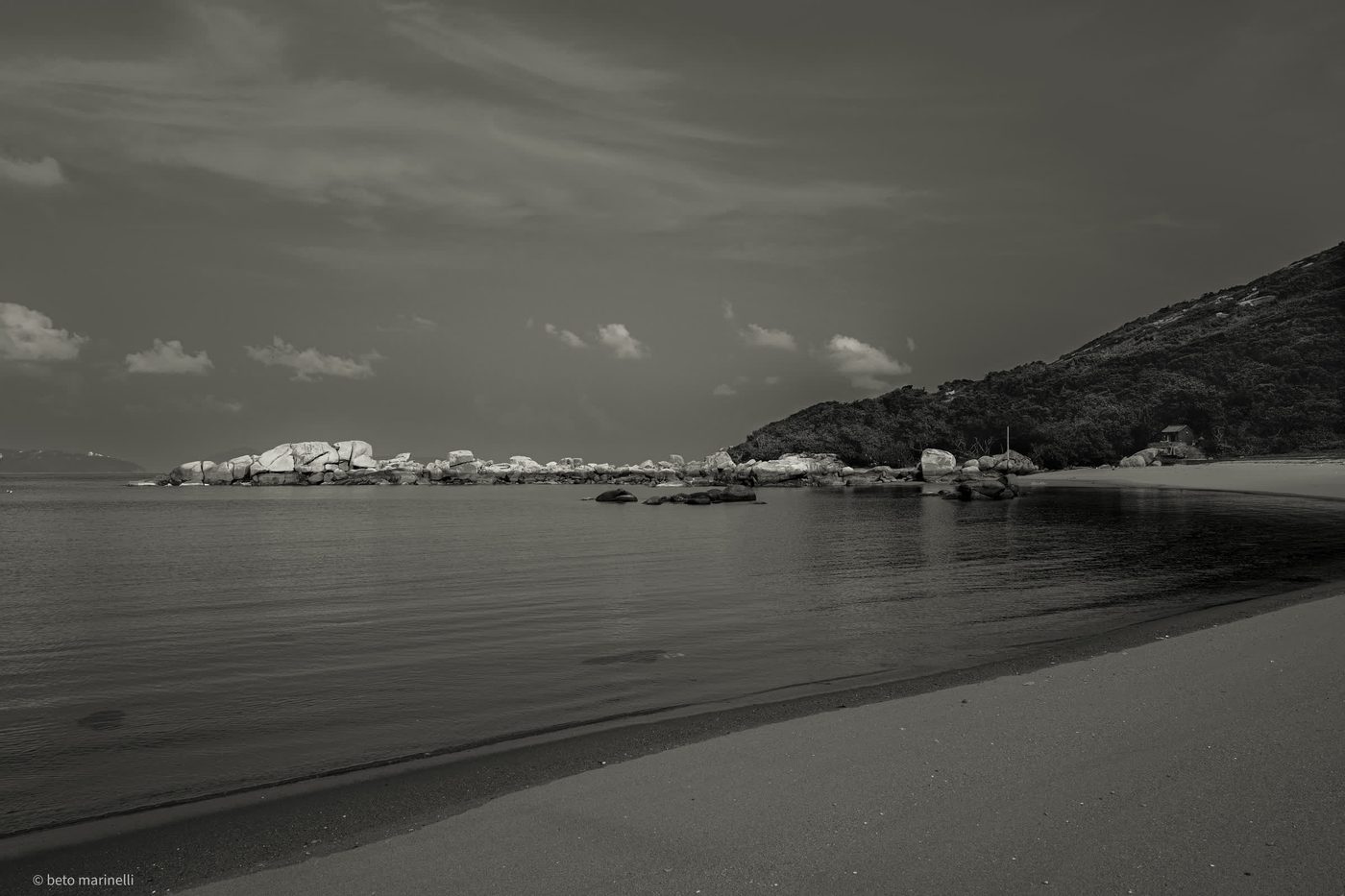 The Cove