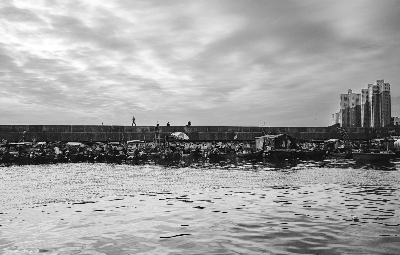 The Seawall